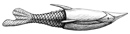 Ostracoderms